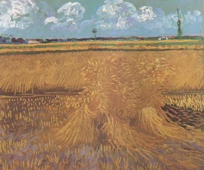 Vincent Van Gogh Wheat Field with Sheaves (nn04) Norge oil painting art